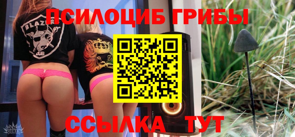 Волхов  Галлюциногенные грибы ЛСД  где найти наркотики  Вход с VPN 